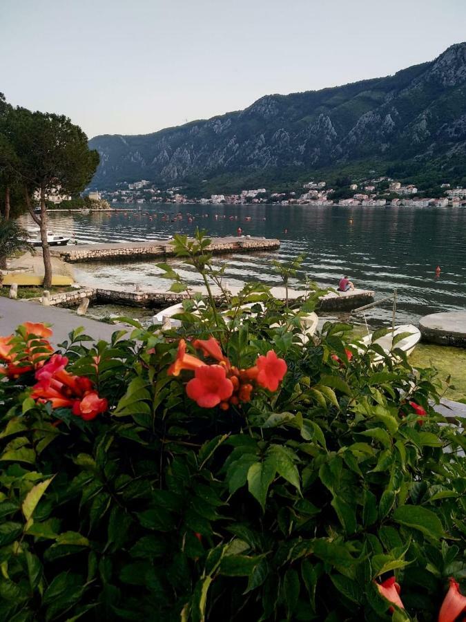 Apartments Radimir Kotor Buitenkant foto