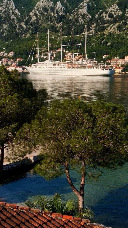 Apartments Radimir Kotor Buitenkant foto